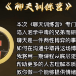 野哥《聊天特训营》
