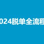陆晨《2024脱单全流程》