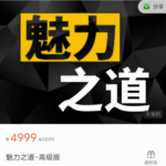 Leo《魅力之道-高级版》