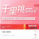 陈璐老师《千里挑一脱单系统》