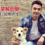 那个奥客《女性欲望解剖学》