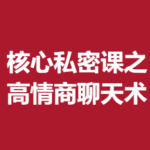 联哥《核心私密课之高情商聊天术》