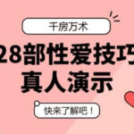 《千房万术之技巧28式》