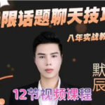 默辰《无限话题实战聊天》