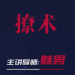 魅男《撩术》