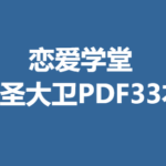 恋爱学堂《情圣大卫》PDF33本
