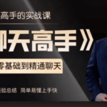 大鹏《聊天高手》
