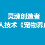 灵魂创造者 猎人技术《宠物养成》