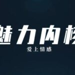 爱上情感《魅力内核》
