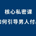 核心私密课《如何引导男人付出》