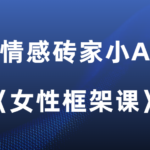 情感砖家小A《女性框架课》