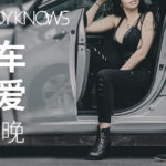 罗南希《停车坐爱枫林晚》