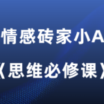 情感砖家小A《思维必修课》