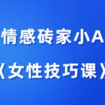 情感砖家小A《女性技巧课》