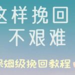 挽回秘籍《这样挽回不艰难》PDF