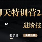 核心《聊天特训营2.0 进阶技巧》