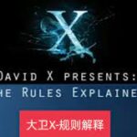 大卫《大卫X规则解释讲座》