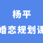 杨平《婚恋规划课1-4阶段》