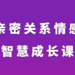 心理师大力《亲密关系情感智慧成长课》