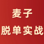 麦子《脱单实战VIP课》