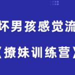 坏男孩感觉流《撩妹训练营》