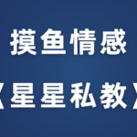 摸鱼情感《星星私教》