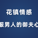 花镇情感《征服男人的御夫心法》