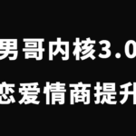 男哥《2022男哥内核3.0》恋爱情商提升初级