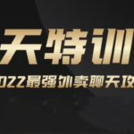 嘉诺《2022聊天特训营》