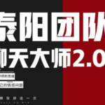 泰阳《聊天大师2.0》