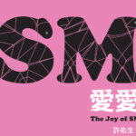 許佑生《SM爱爱：The Joy of SM》PDF