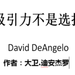 大卫D《吸引力不是选择》PDF电子书