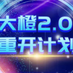 高大橙《重开计划2.0》