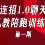 乌鸦救赎《连招1.0聊天私教陪跑训练营》第一期