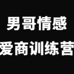 男哥情感《男哥爱商训练营》