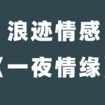 浪迹情感老佟《一夜情缘》