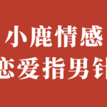 小鹿情感《恋爱指男针》